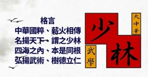 少林武學文化活動推廣