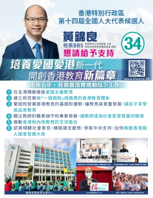參選政綱