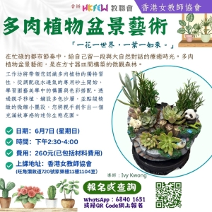 多肉植物盆景藝術